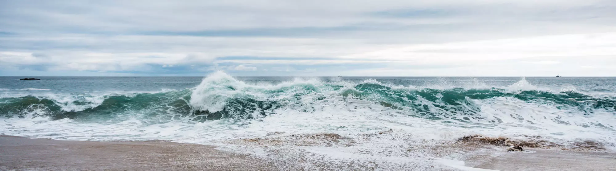 Ocean Mindfulness - Programme MBRP